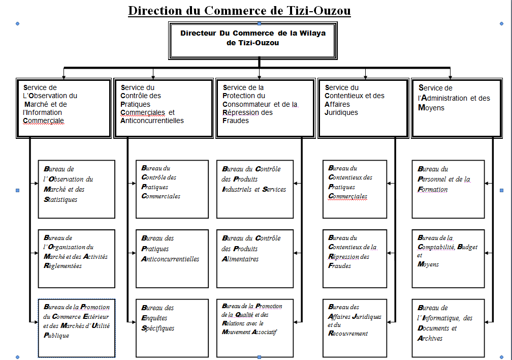 organigramme